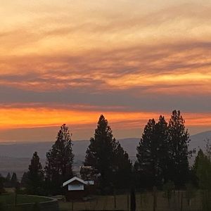 Meet your Posher, Chanelle